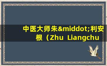 中医大师朱·利安根（Zhu  Liangchun）